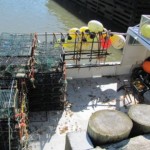Traps onboard