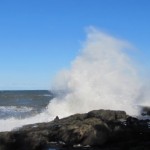 IMG_1613