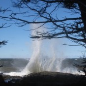 Great Wave Action!