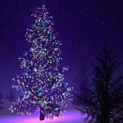 Year end events