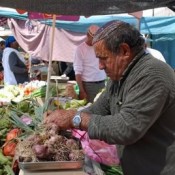 Hampton’s Open Air Market