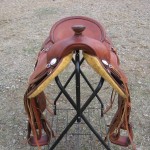Jo Brooks Saddle 005
